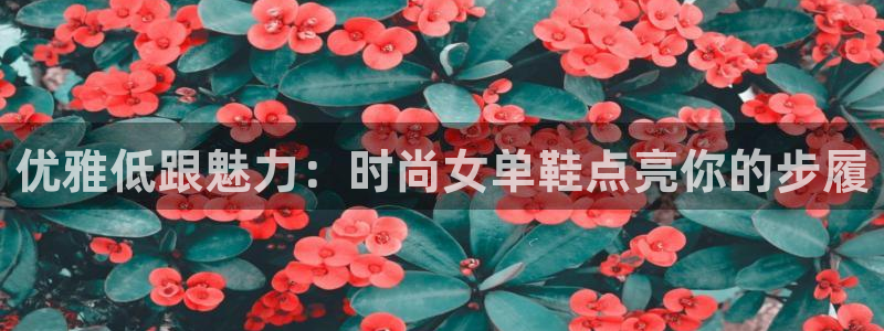 ag真人旗舰厅登录