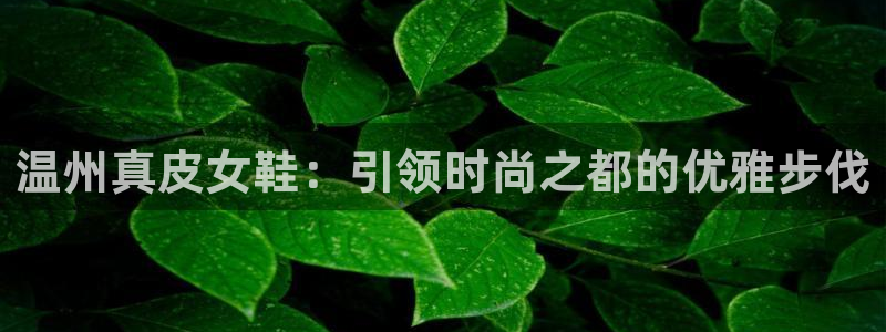 ag旗舰厅官方网站入口