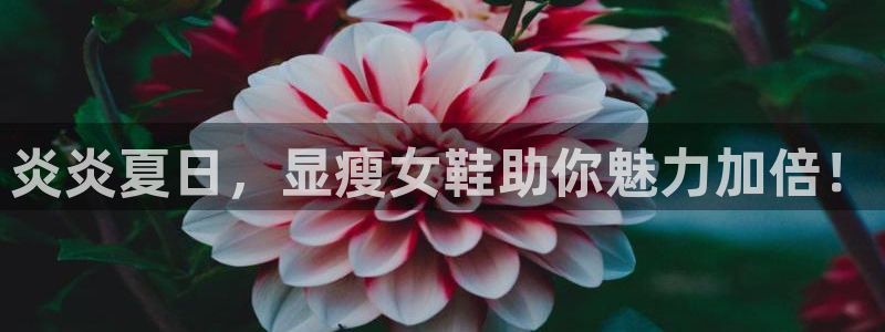 ag真人旗舰厅登录